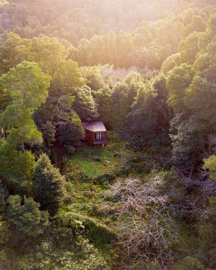 Caparica Azores Ecolodge Biscoitos  Ngoại thất bức ảnh