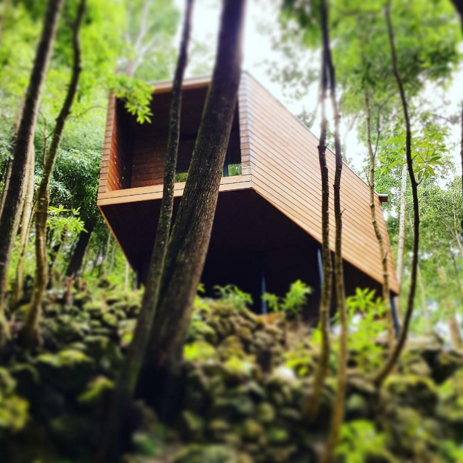 Caparica Azores Ecolodge Biscoitos  Ngoại thất bức ảnh