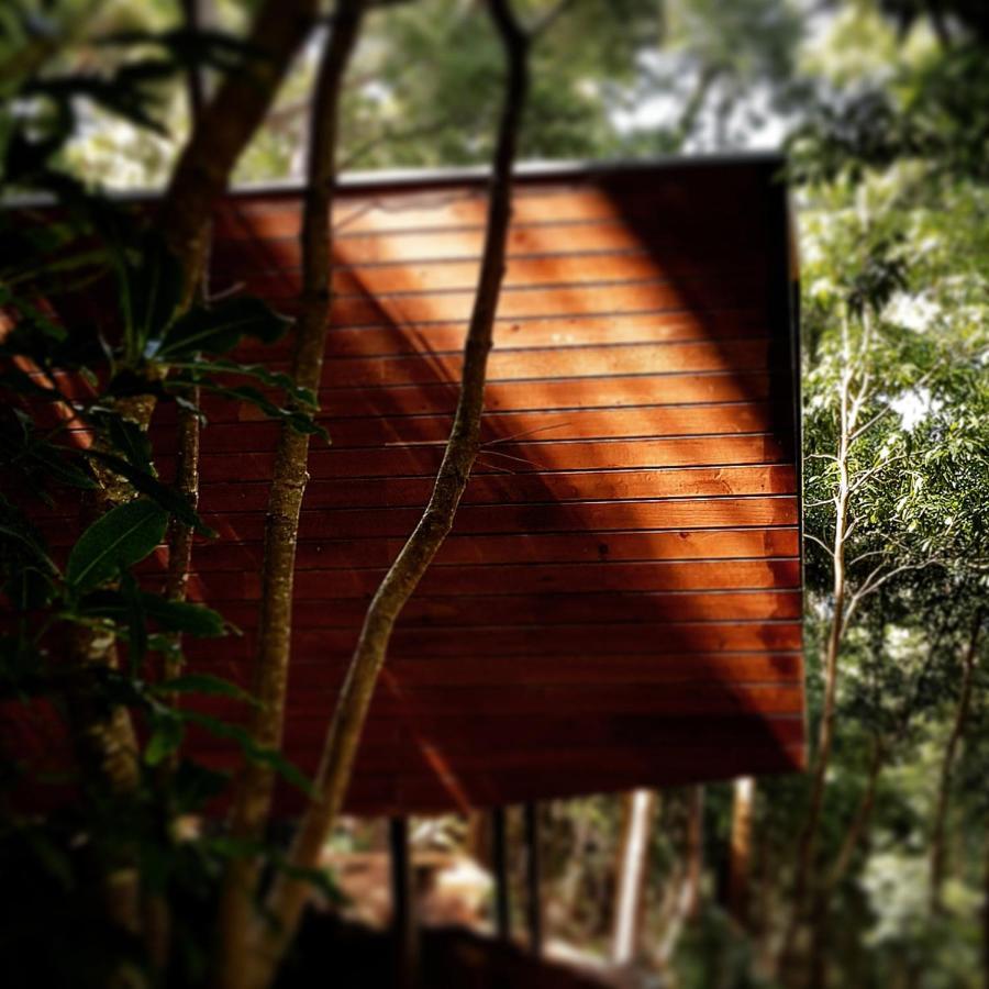 Caparica Azores Ecolodge Biscoitos  Ngoại thất bức ảnh