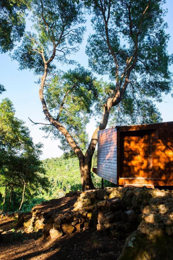 Caparica Azores Ecolodge Biscoitos  Ngoại thất bức ảnh