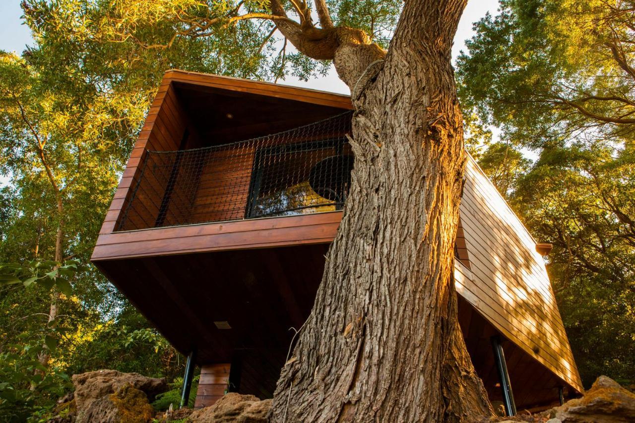 Caparica Azores Ecolodge Biscoitos  Ngoại thất bức ảnh