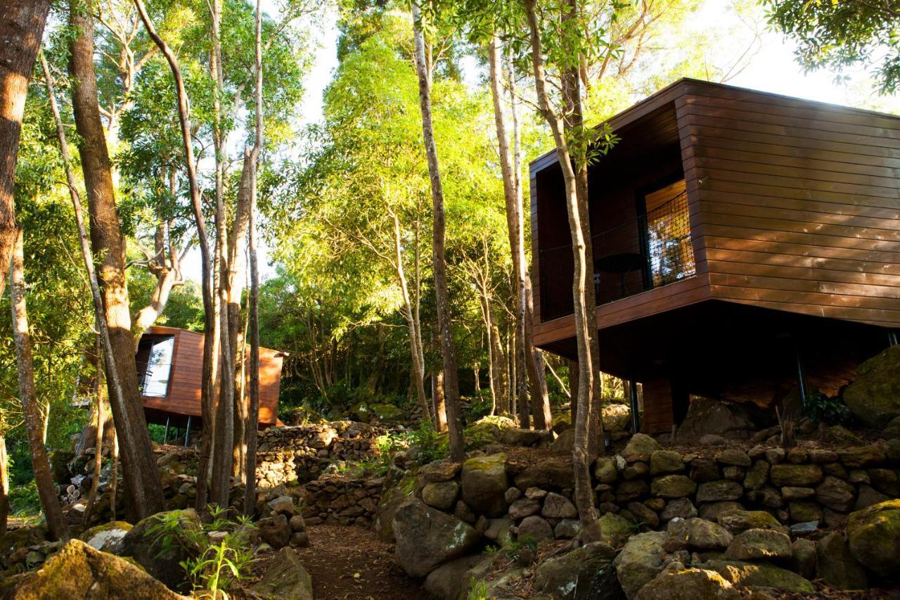 Caparica Azores Ecolodge Biscoitos  Ngoại thất bức ảnh